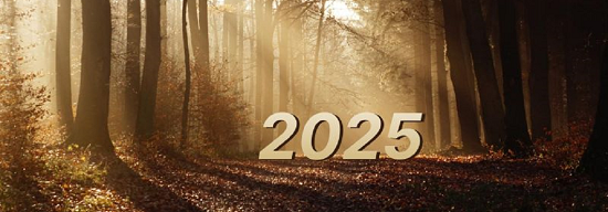 2025_550
